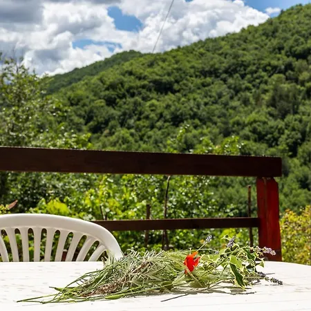 Casa Palombara 別荘